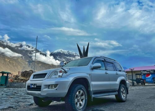 Customized Trips